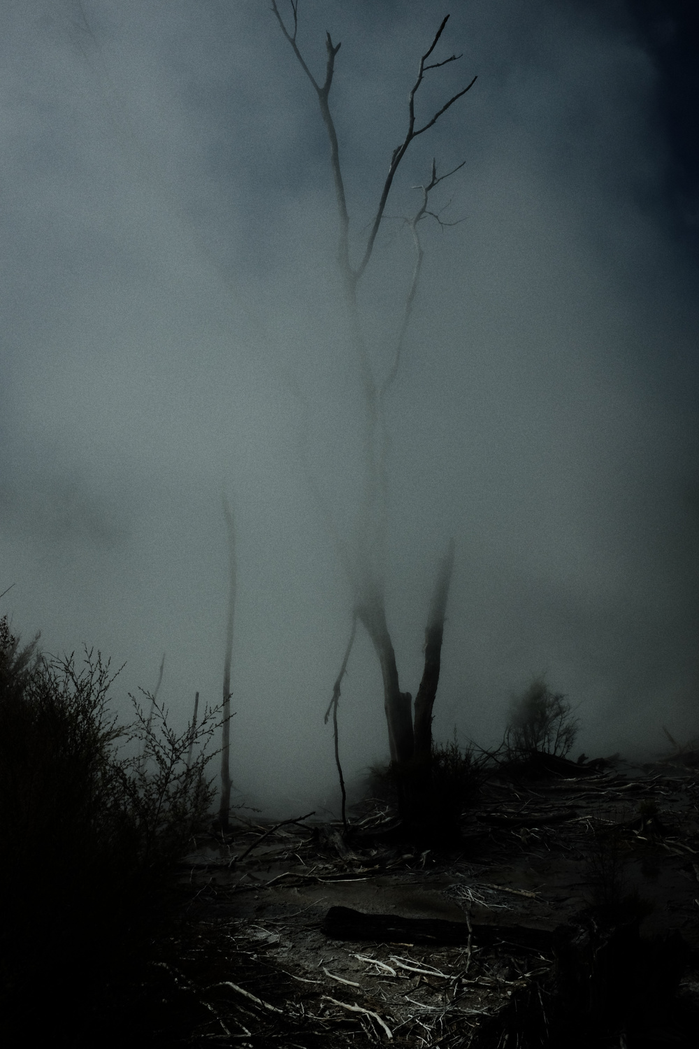 Geyser, New Zealand
